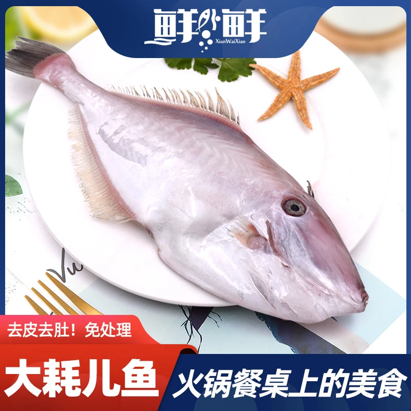 【鲜外鲜】大耗儿鱼（星级专供）大剥皮鱼橡皮鱼马面鱼火锅鲜嫩食材