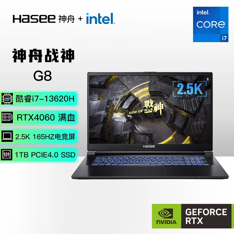 Hasee/神舟办公G8D63游戏本吃鸡高刷高性能学生笔记本电脑高色域