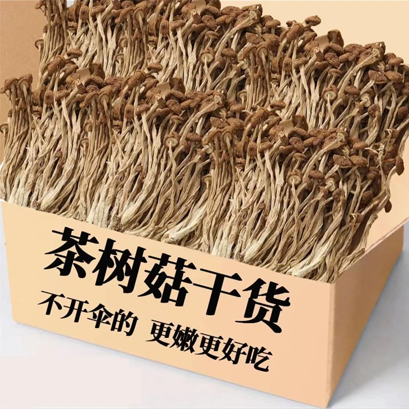 【净重】不开伞茶树菇250g农家干货新鲜不开伞茶树菇香菇老鸭排骨汤