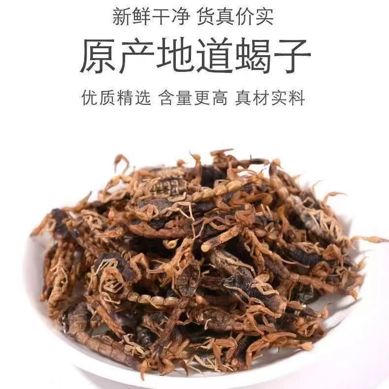 新货正宗全蝎50克100克250克新鲜优质干净原产精选