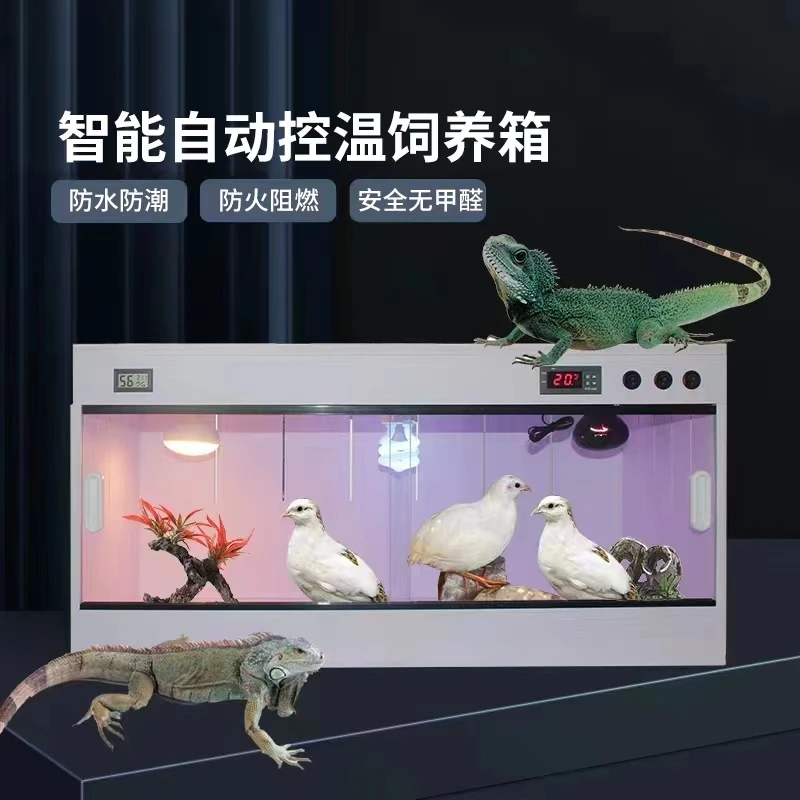 pvc爬箱爬宠鬃狮蜥蜴饲养箱守宫刺猬加热保温箱陆龟智能温控芦丁