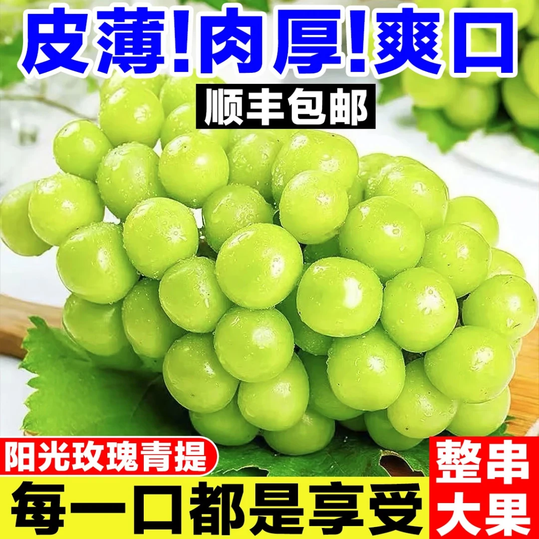 【顺丰包邮】精品阳光玫瑰整串晴王葡萄青提应急新鲜水果饱满多汁