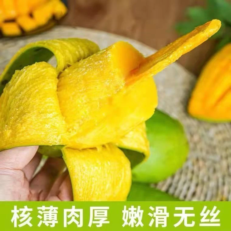 【热卖活动】百色金煌大青芒果园现摘整箱10斤包邮原产地优选大果