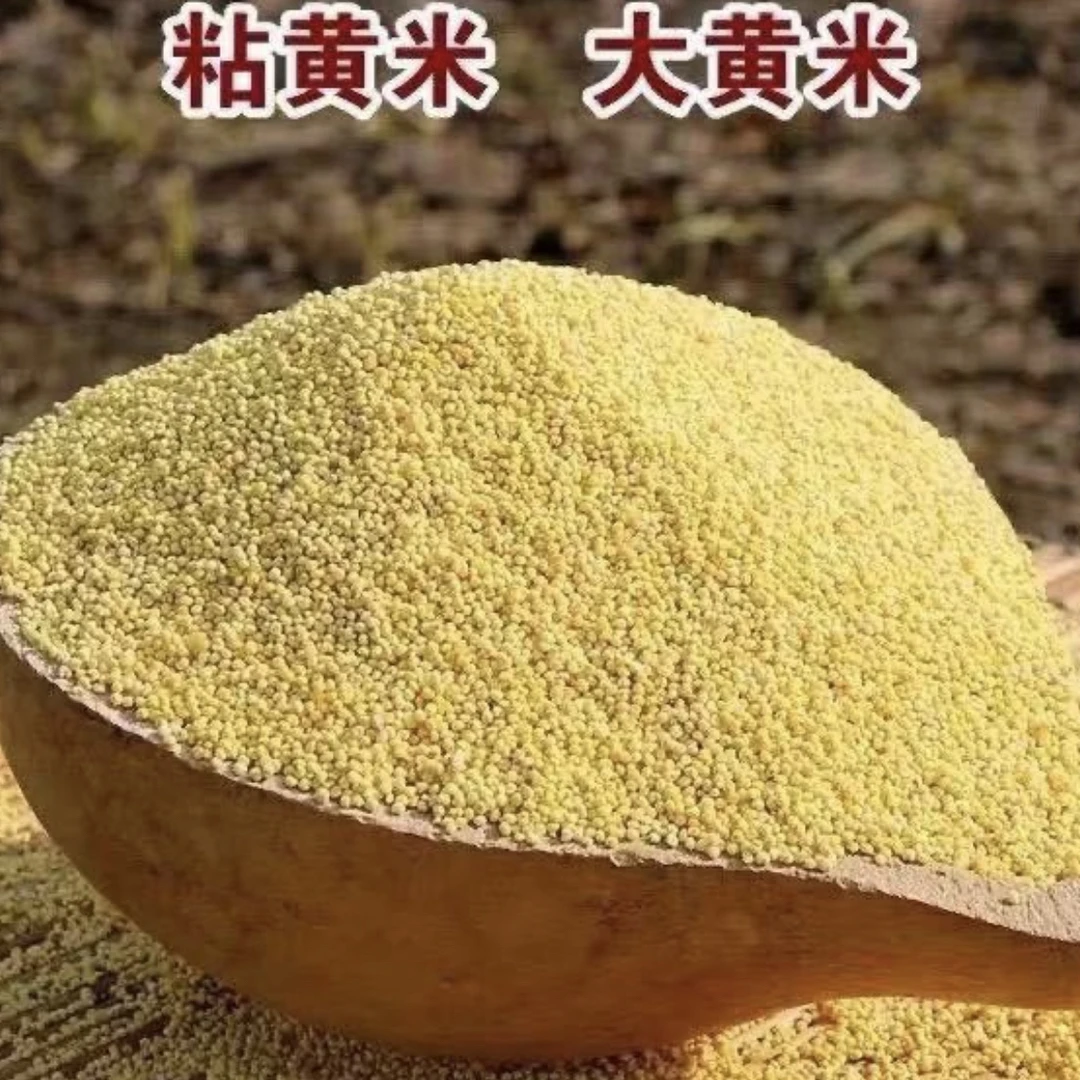 【胖小子专属】东北粘大黄米5斤包邮