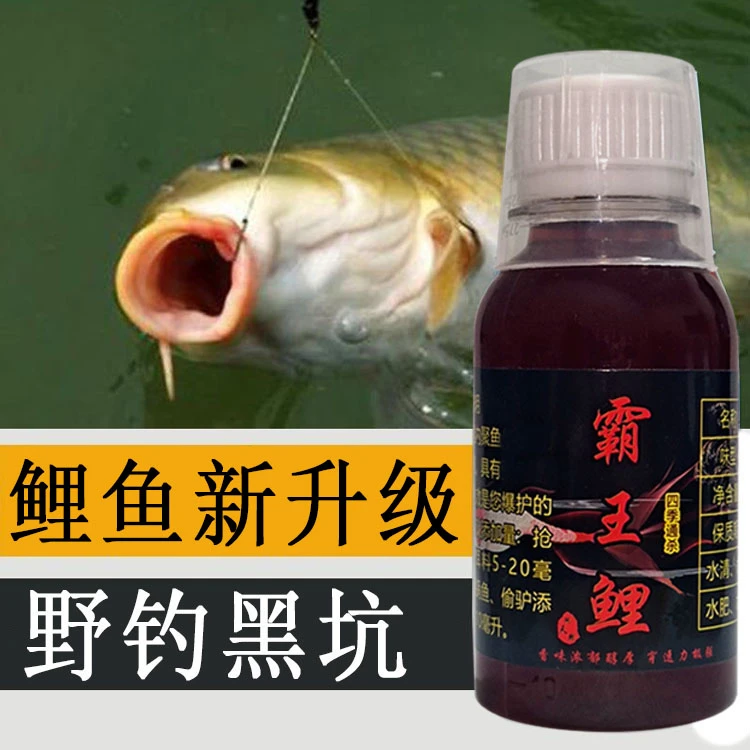 【霸王鲤】野钓鲤鱼诱鱼剂饵料添加剂黑坑钓鲤鱼窝料颗粒添加剂