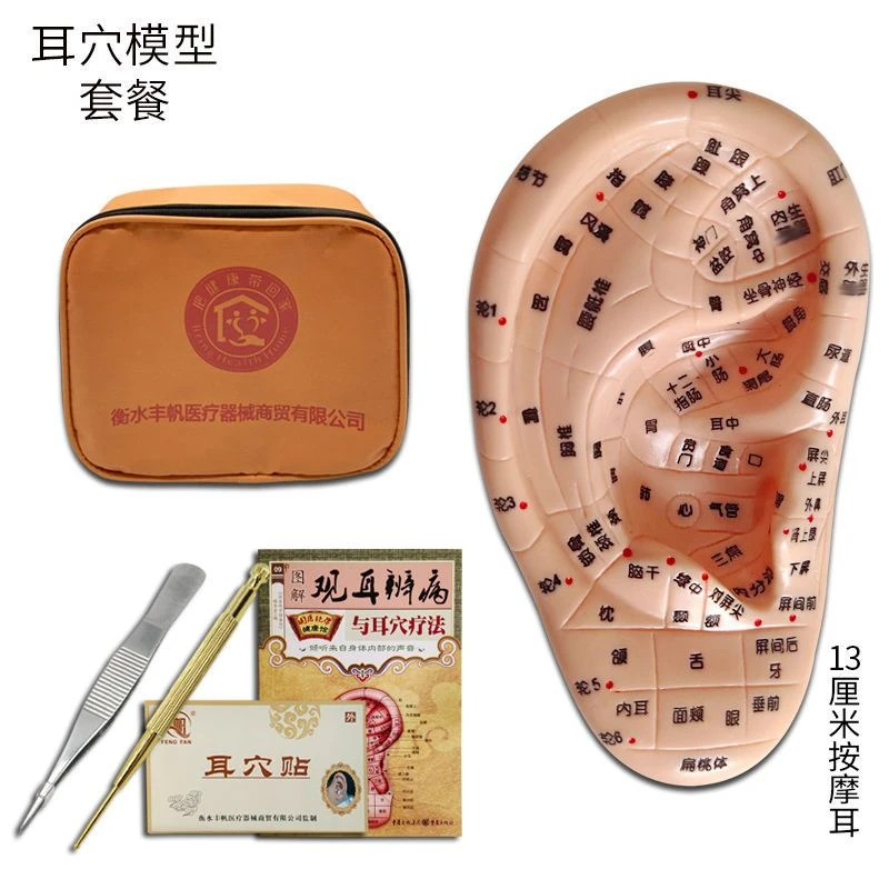 耳贴耳穴贴探针压豆穴位耳朵模型反射区模具探穴笔行籽豆家用