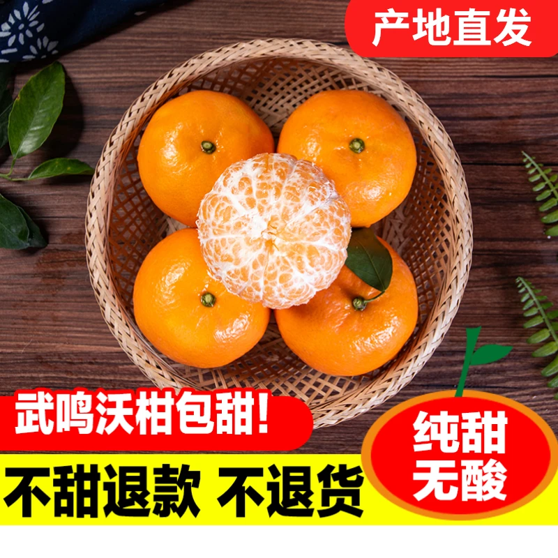 【广西武鸣沃柑】沃柑5斤花皮果香甜多汁应季水果新鲜橘子橙子