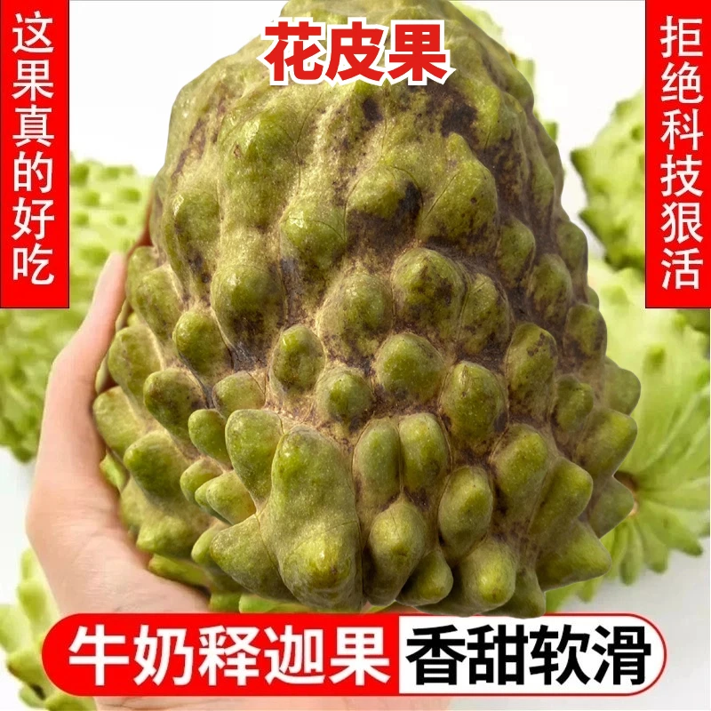 【广西牛奶释迦】花皮果新鲜正宗凤梨释迦2/3/5斤香甜刺果番荔枝