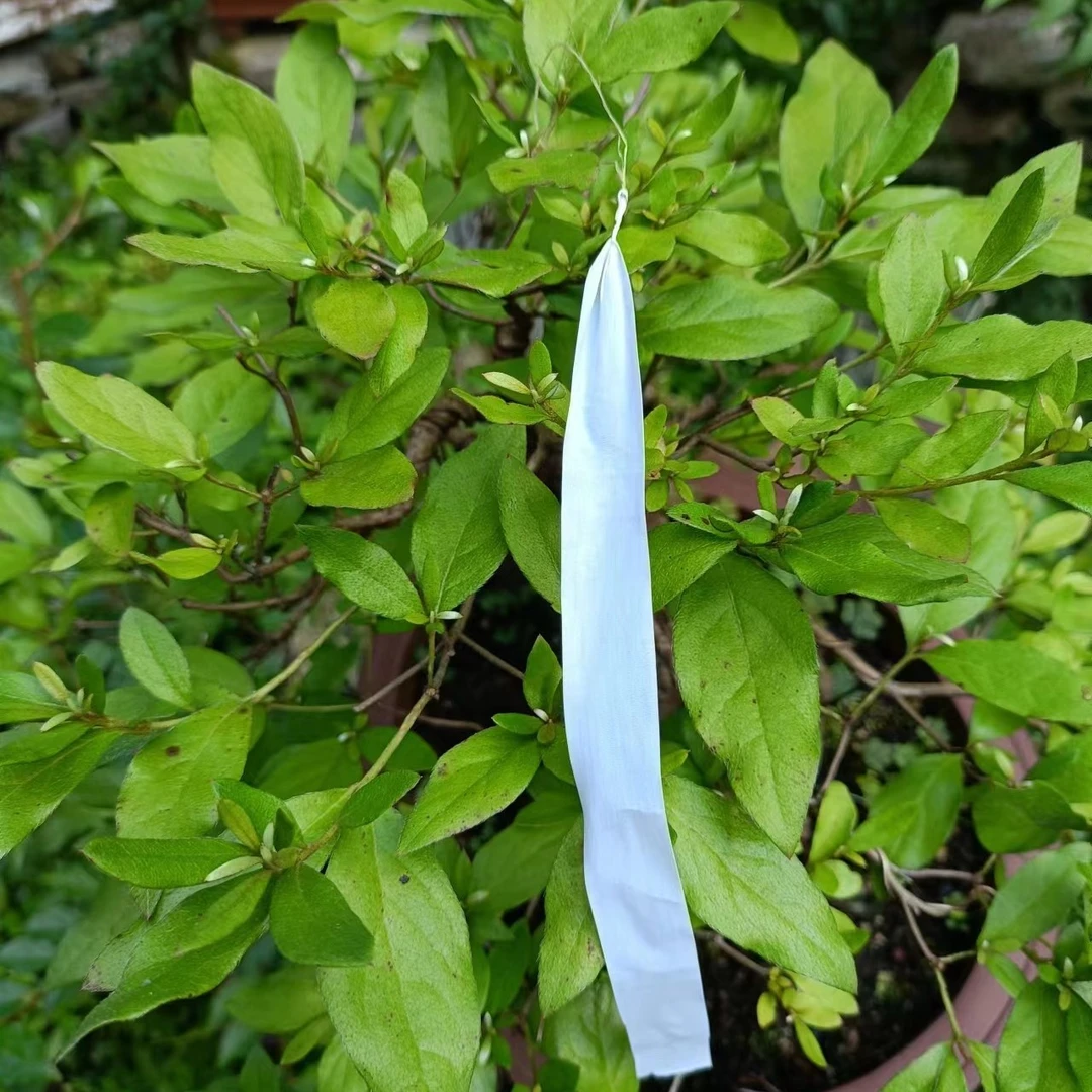 金环虎头蜂蜂标黄脚蜂七里蜂通用
