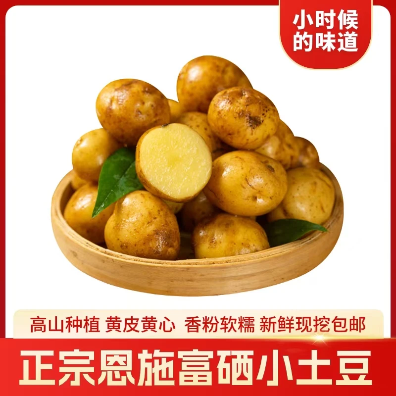 恩施富硒小土豆香粉软糯现挖现发黄心马铃薯高山洋芋坏果包赔包邮