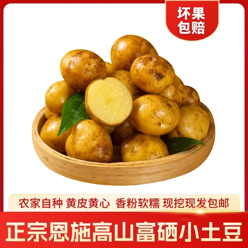 正宗网红恩施富硒黄心小土豆现挖现发马铃薯洋芋包邮坏果包赔