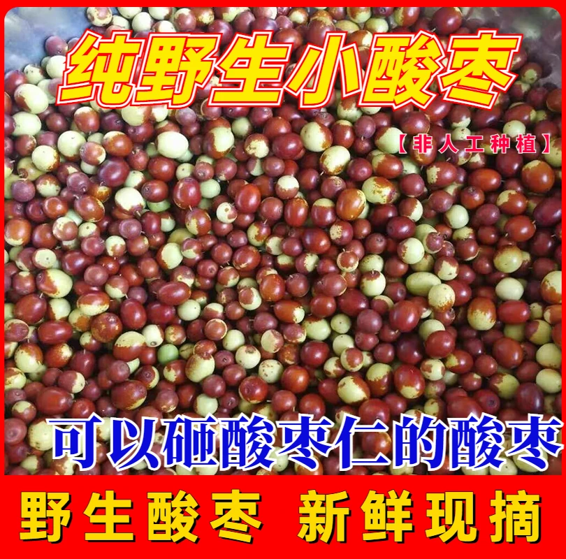 野生酸枣新鲜山枣果新鲜酸枣子现摘现发沂蒙山特产小酸枣孕妇酸枣