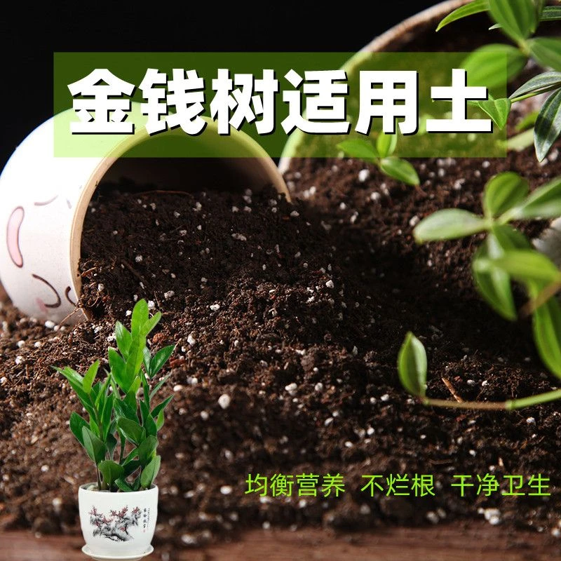 金钱树适用土30斤家用养花营养土通用型透气有机土盆栽种植土壤肥
