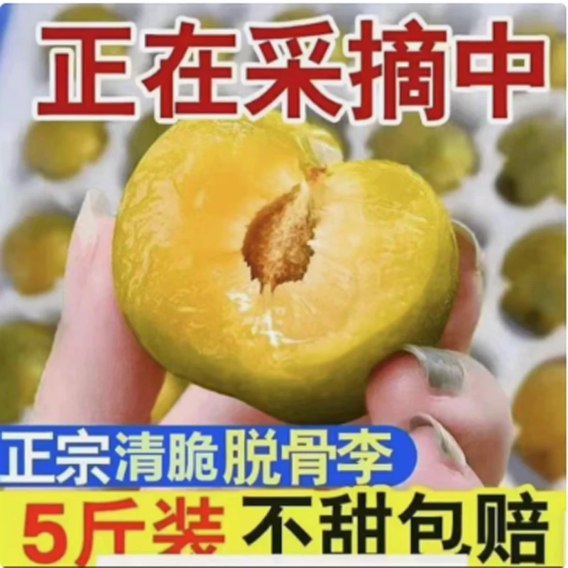 新鲜青脆李脱骨李孕妇水果应季农产品新鲜酸甜脆李子