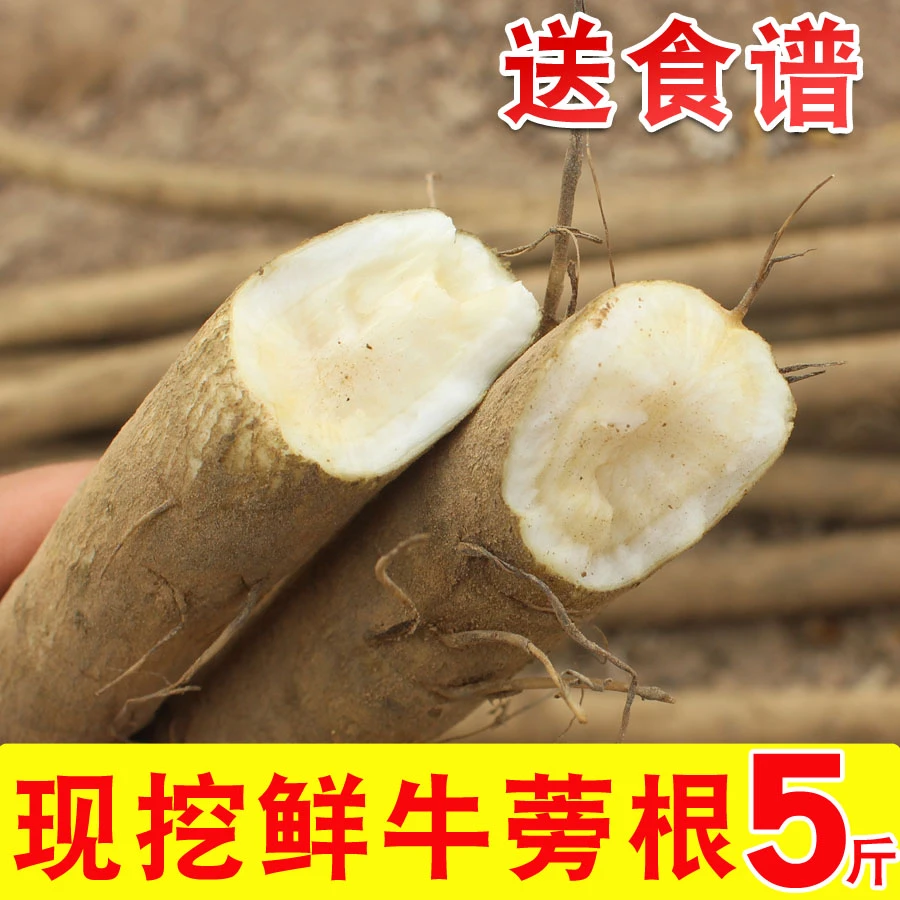 牛蒡根新鲜徐州黄皮牛蒡根5斤榨汁炒菜炖菜煲汤食用美味农家自种