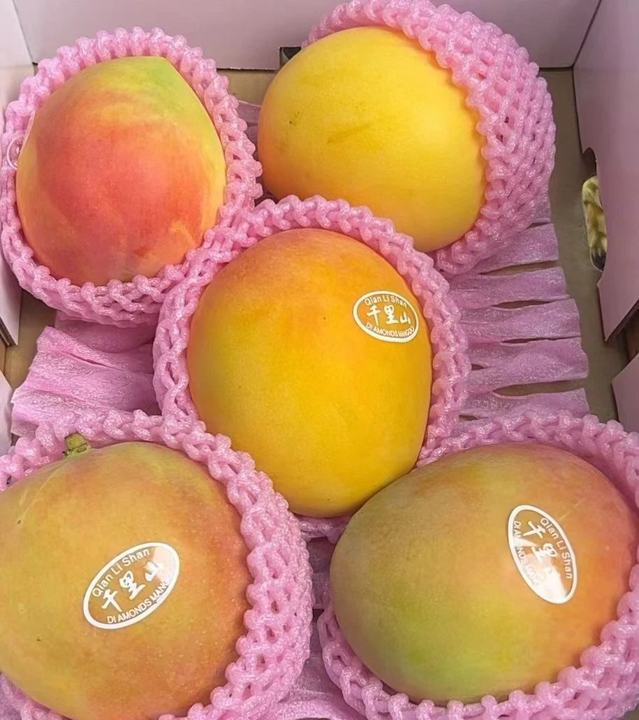 千里山 彩澳蜜芒  礼盒装