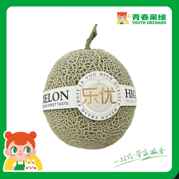 网纹瓜一个3斤左右