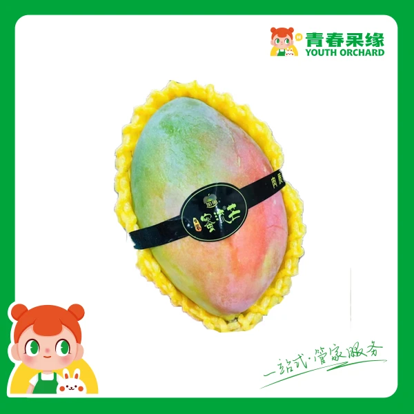 【细腻丝滑 无丝香甜 核小肉厚】蜜流芒1个（600g左右）
