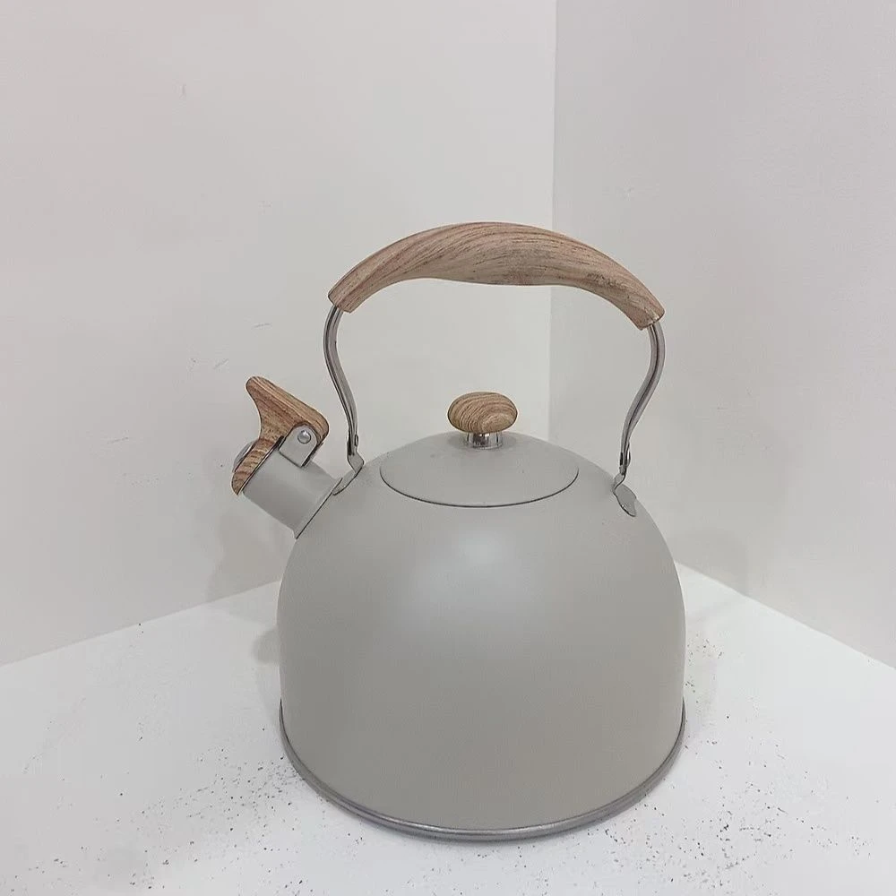 法式简约家用户外大容量烧水壶