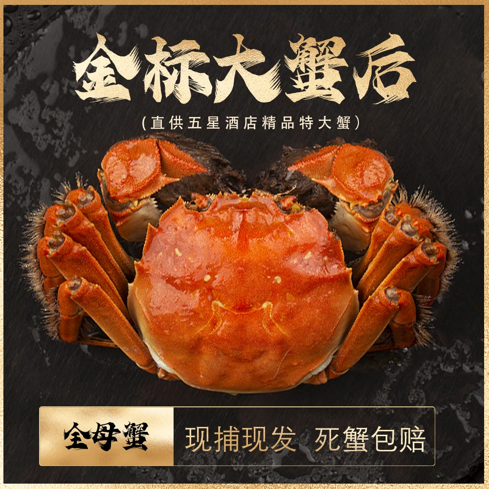 【精品母蟹】辽锦蟹侬精品全母蟹（2.4-2.6两）8只10只 软硬黄嘎嘎肥