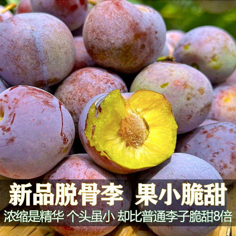 正宗四川正宗脱骨李小脆红李新鲜水果酸甜多汁果园直发