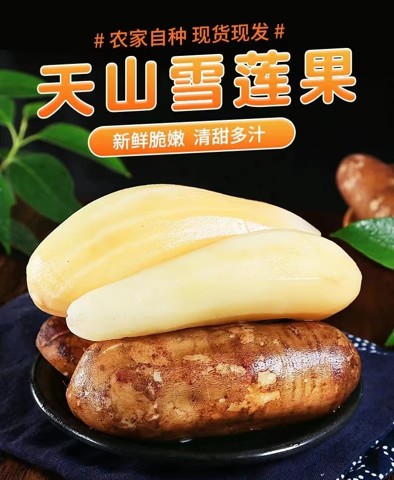 云南天山雪莲果清甜多汁黄心整箱1斤试吃