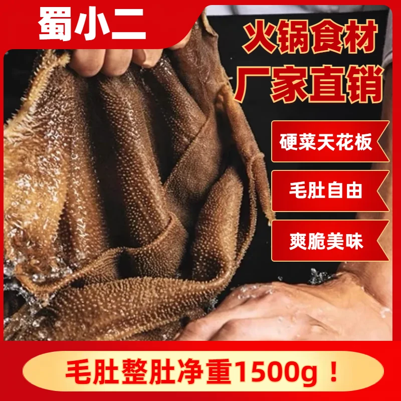 火锅食材毛肚整肚净重1500g（3斤）牛百叶 四川重庆烫火锅凉拌