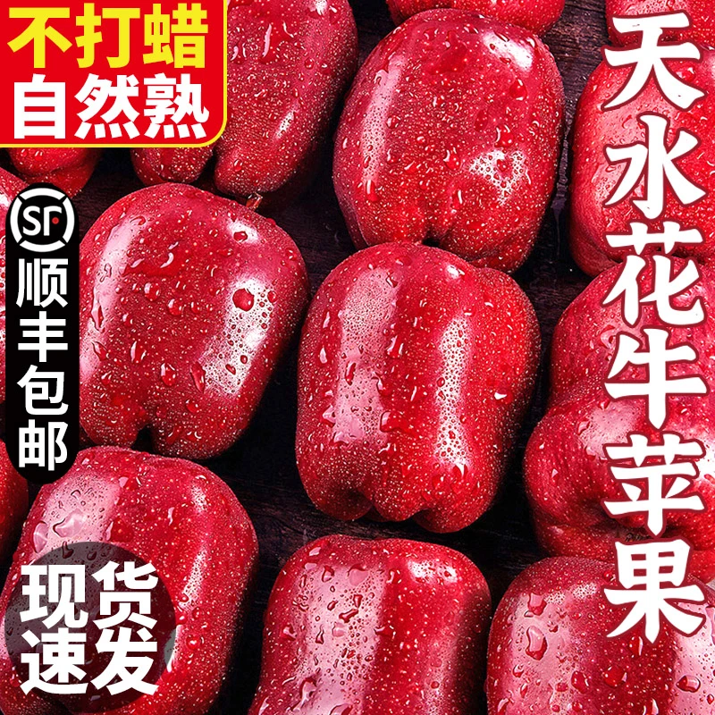 【顺丰包邮】正宗甘肃天水花牛苹果水果新鲜当季粉面香甜红蛇丑平果