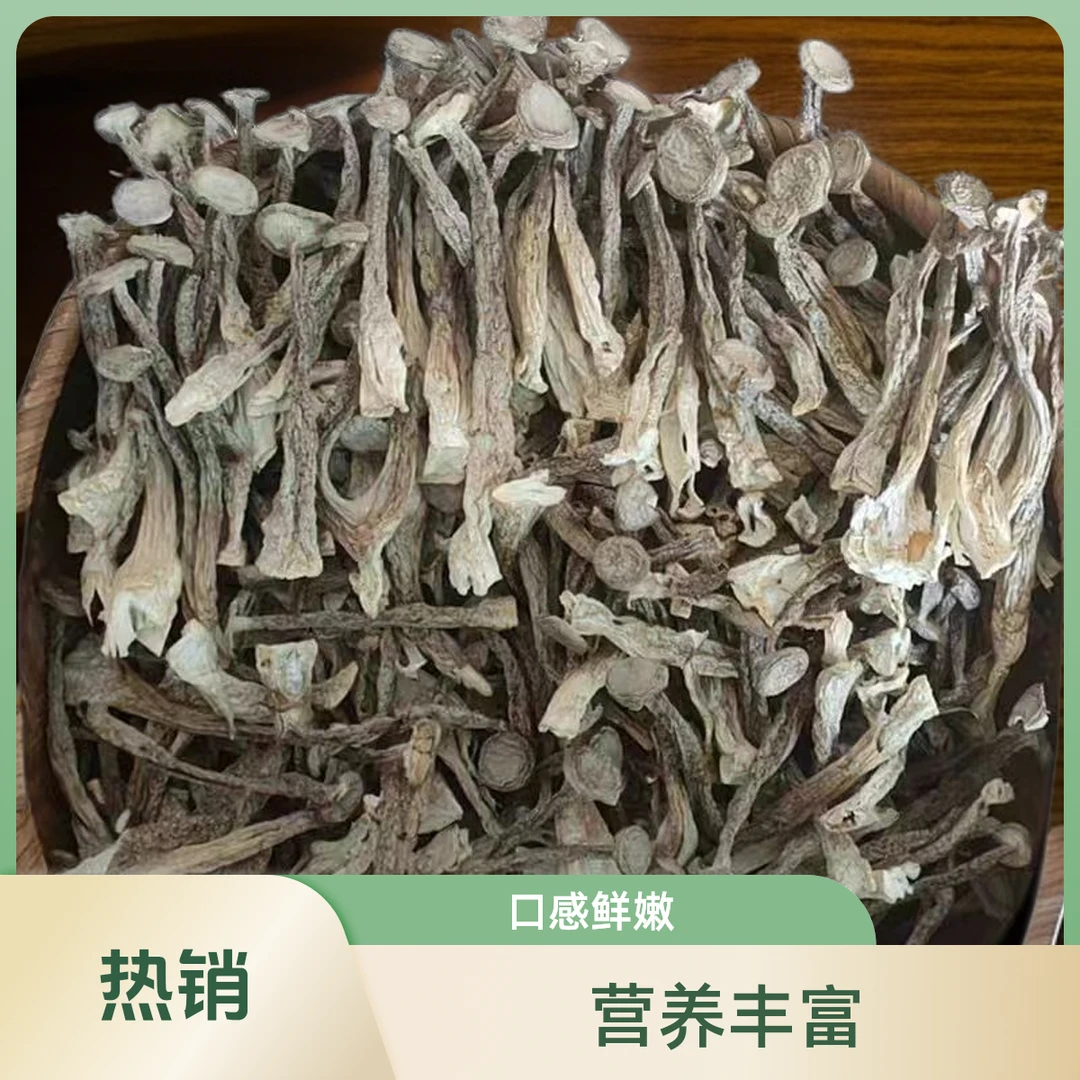 老店回馈专享日鹿茸菇特惠分叉菇干货店餐饮商超优选食材古田菌菇