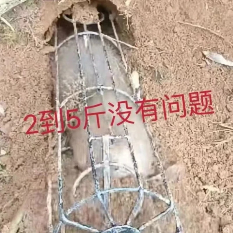 黄鼠狼加粗专用新款坚固老鼠笼笼.圆形钢筋笼白面0.5cm竹鼠耐用