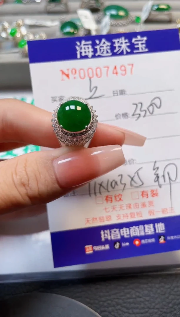 【闪购商品】翡翠颈饰未镶嵌74970000