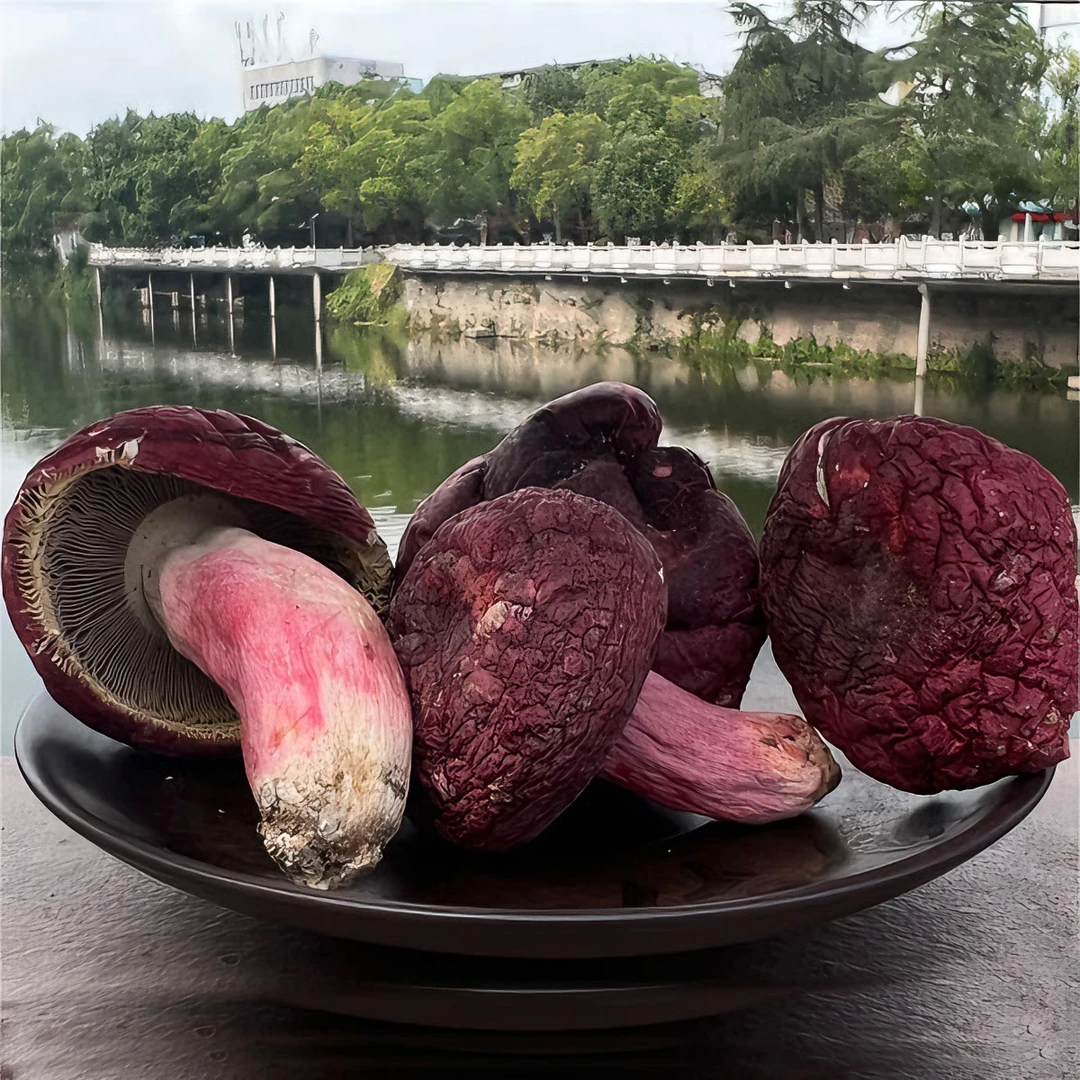福建三明正宗红菇食用蘑菇特产红菌红蘑菇清香月子菇可炖煮