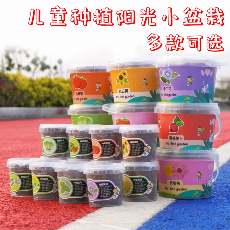 儿童种植吧盆栽创意植物手工Diy盆栽生日办公室阳台阳光房萌种子