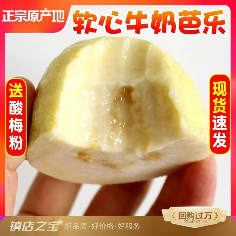 【长春78线直发】水果大礼包（10种水果）