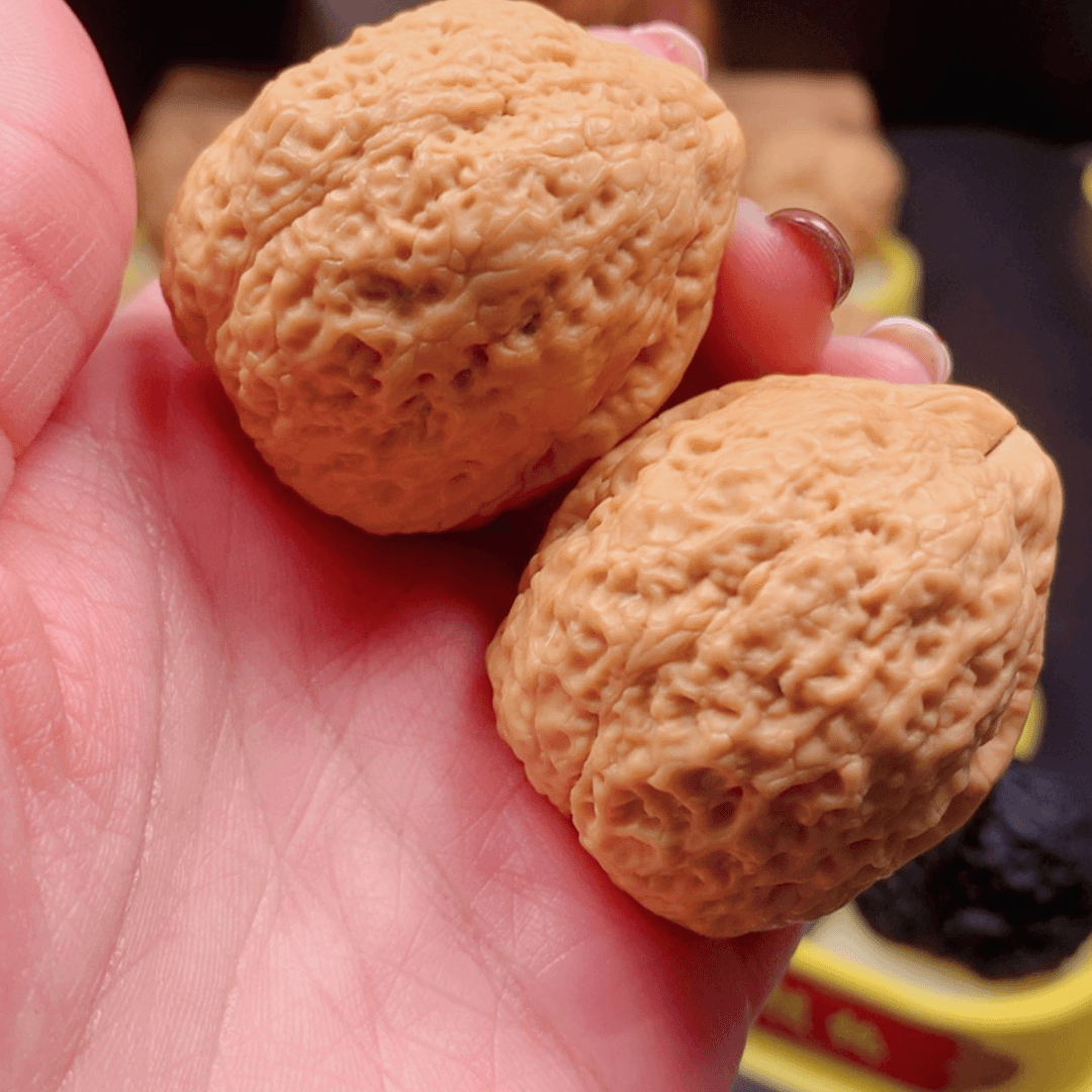 【闪购商品】桃核吊坠沧**粟