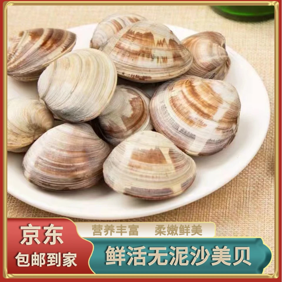 鲜活大个美贝无泥无沙 鲜活肥美 肉质鲜美 6斤装(约16只左右/斤)