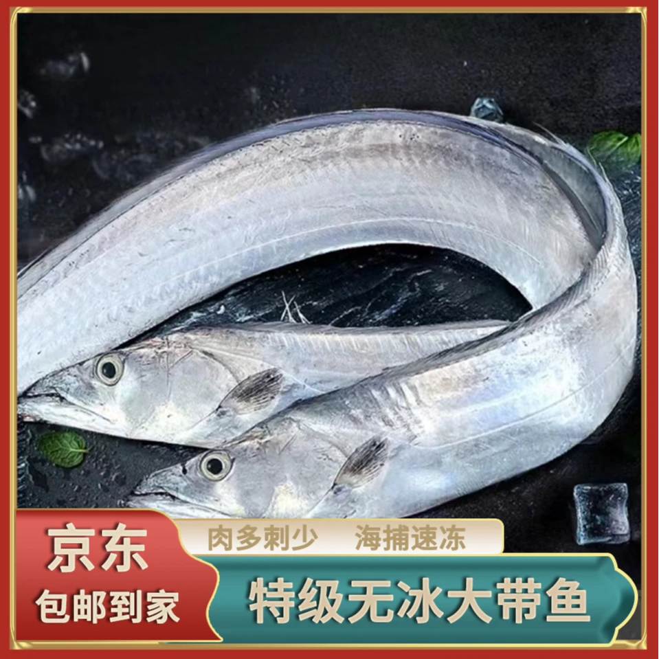 新鲜小眼油带整条 速冻锁鲜鲜嫩海钓宽带鱼5斤装