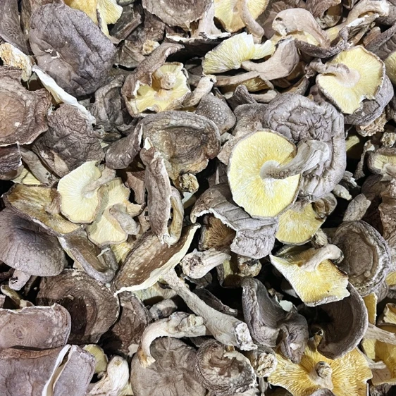 长白山 大山里香菇250g/500g