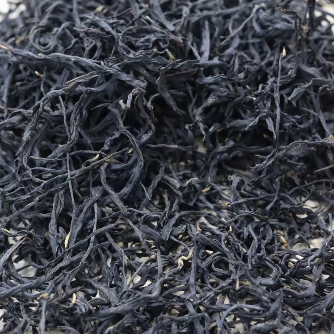 头春高山乌龙《乌龙红茶》
