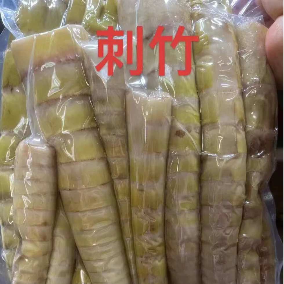优选刺竹笋  不苦不涩  云南昭通彝良山里自然生长
