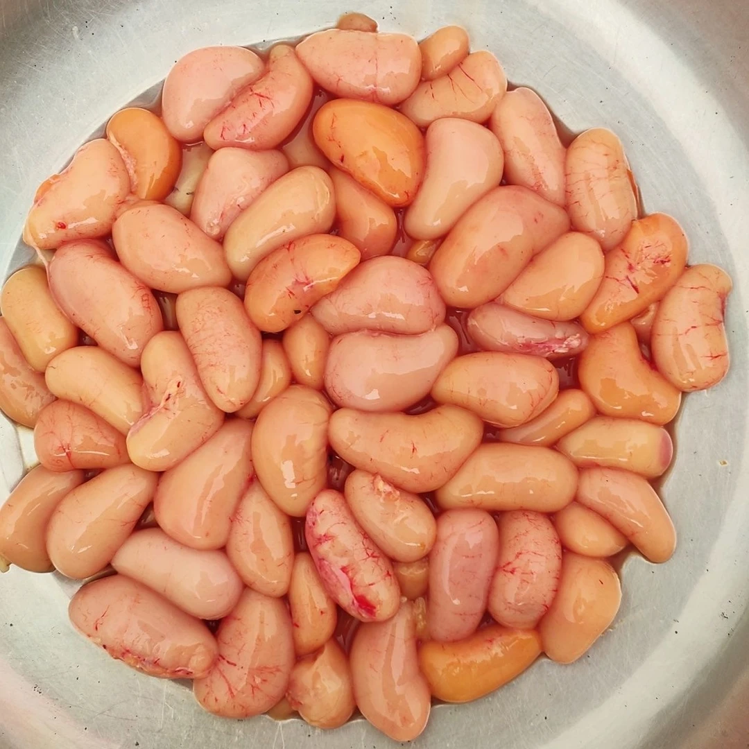 广东新鲜中小号鸡子鸡腰子鸡卵鸡春子公鸡卵鸡美味鸡杂