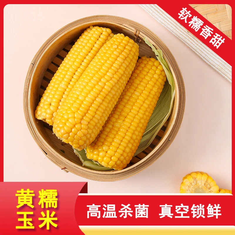 【10穗装】东北鲜糯黄玉米 甜糯玉米棒真空锁鲜