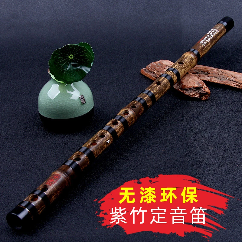 舒怀精制紫竹笛子入门初学横笛专业演奏乐器配牛角音色甜润保音准