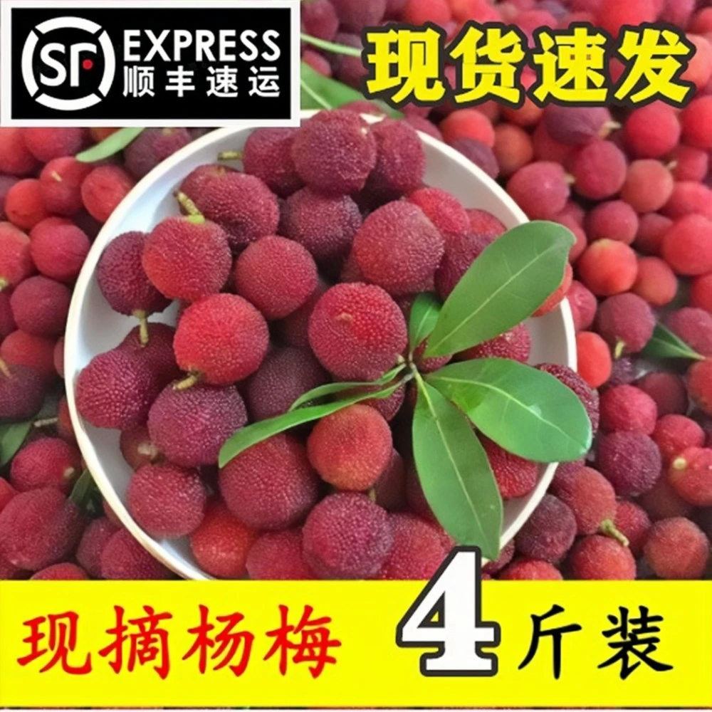 新鲜红杨梅酸梅红杨梅红杨梅顺丰包邮