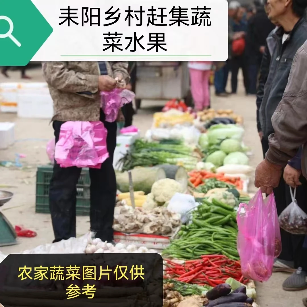 湖南乡村赶集本地新鲜农家蔬菜自然种植辣椒茄子丝瓜苦瓜