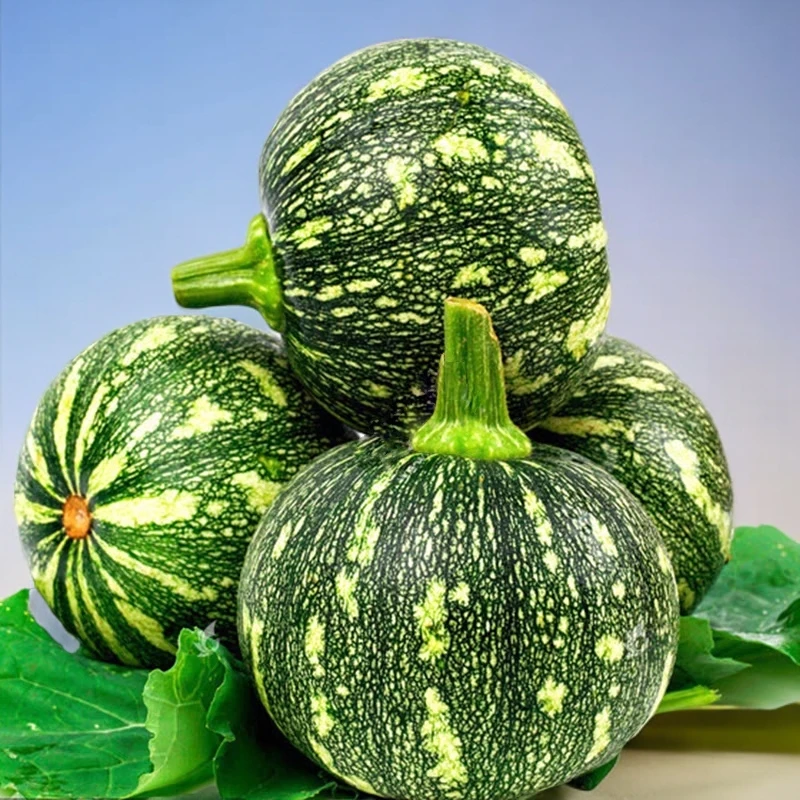 湖南衡阳本地农家新鲜嫩南瓜黄心小南瓜嫩瓜小南瓜