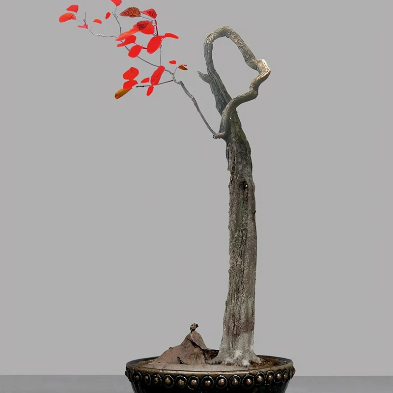 黄栌盆景拍品链接