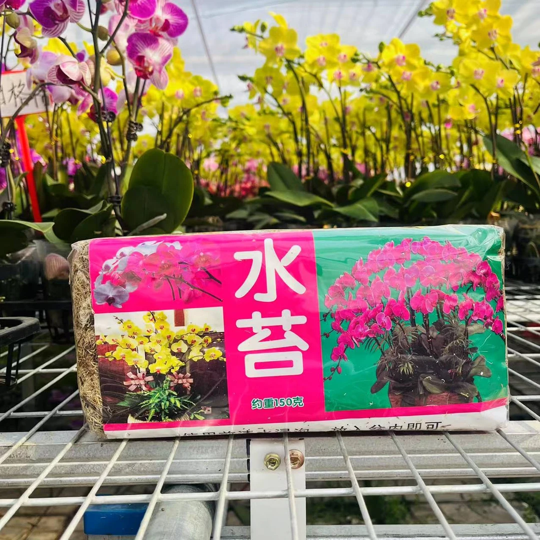 【花之漫】（水苔）蝴蝶兰专用营养土无菌干水苔兰花无土栽培介质