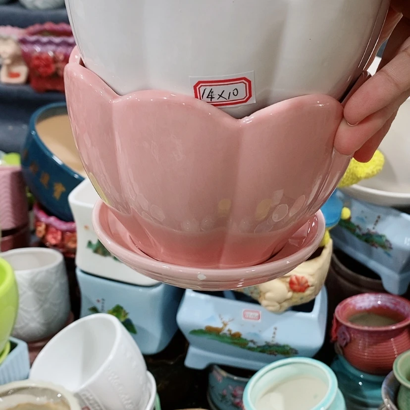 【闪购商品】红陶20CM(含)-50CM(不含)