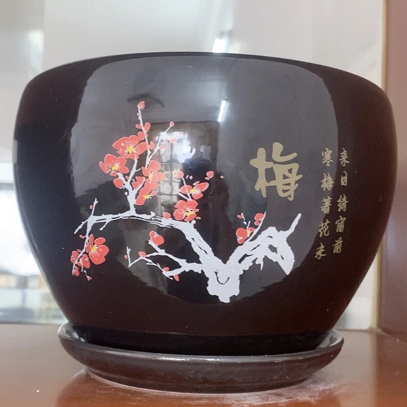 【闪购商品】红陶20CM（含）-50CM（不含）
